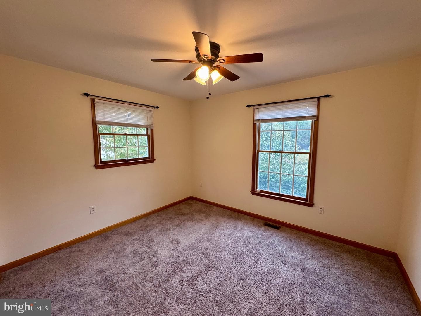 35 Coachman Drive photo 33