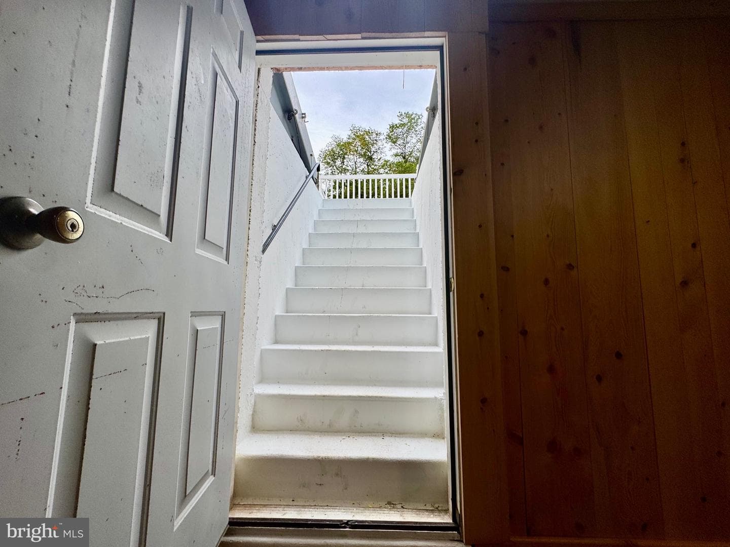 35 Coachman Drive photo 50