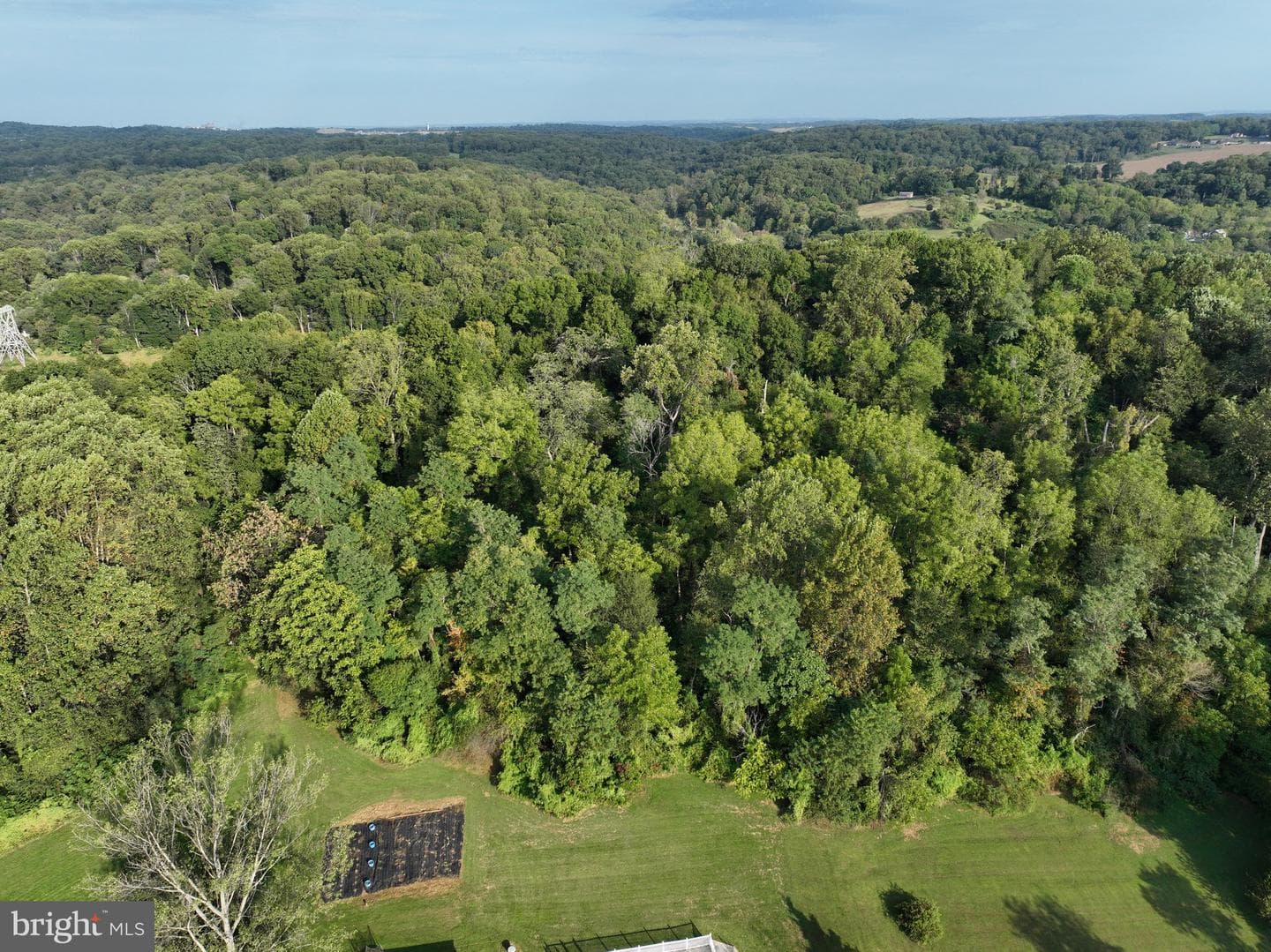 35 Coachman Drive photo 6