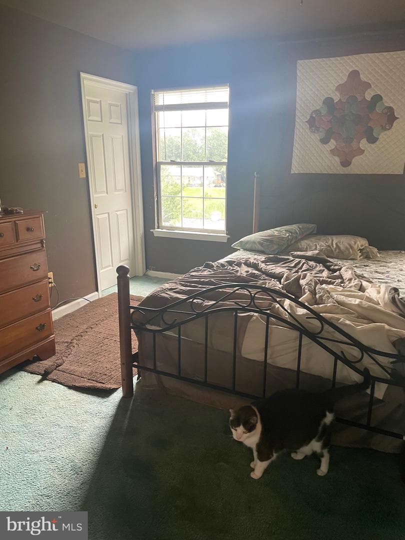 113 Starboard Court photo 11