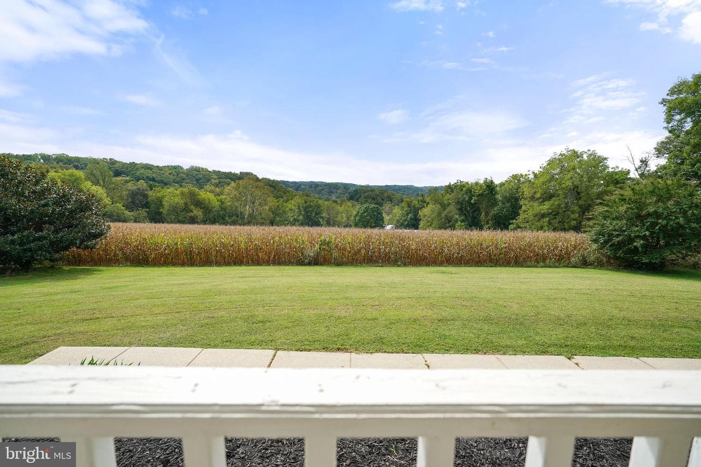 424 Springhill Road photo 16