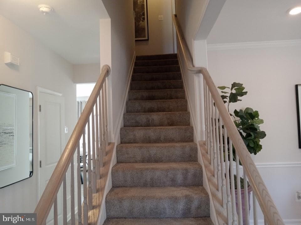 151 Fred Drive photo 5