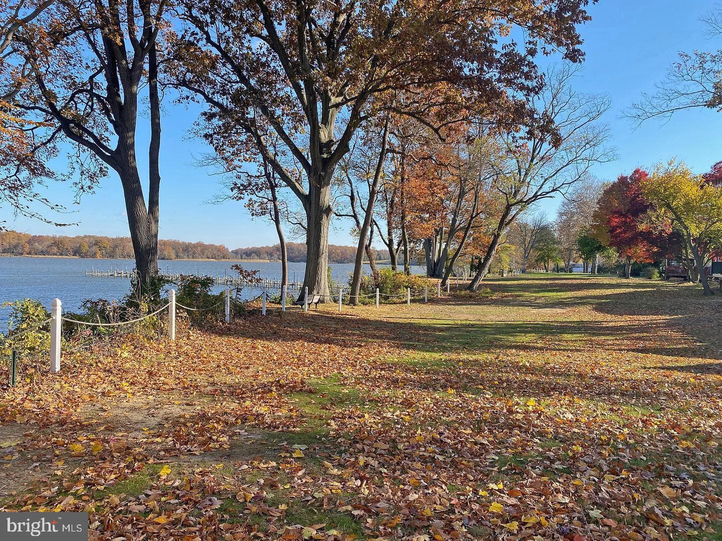 56 Farmdale Road photo 5
