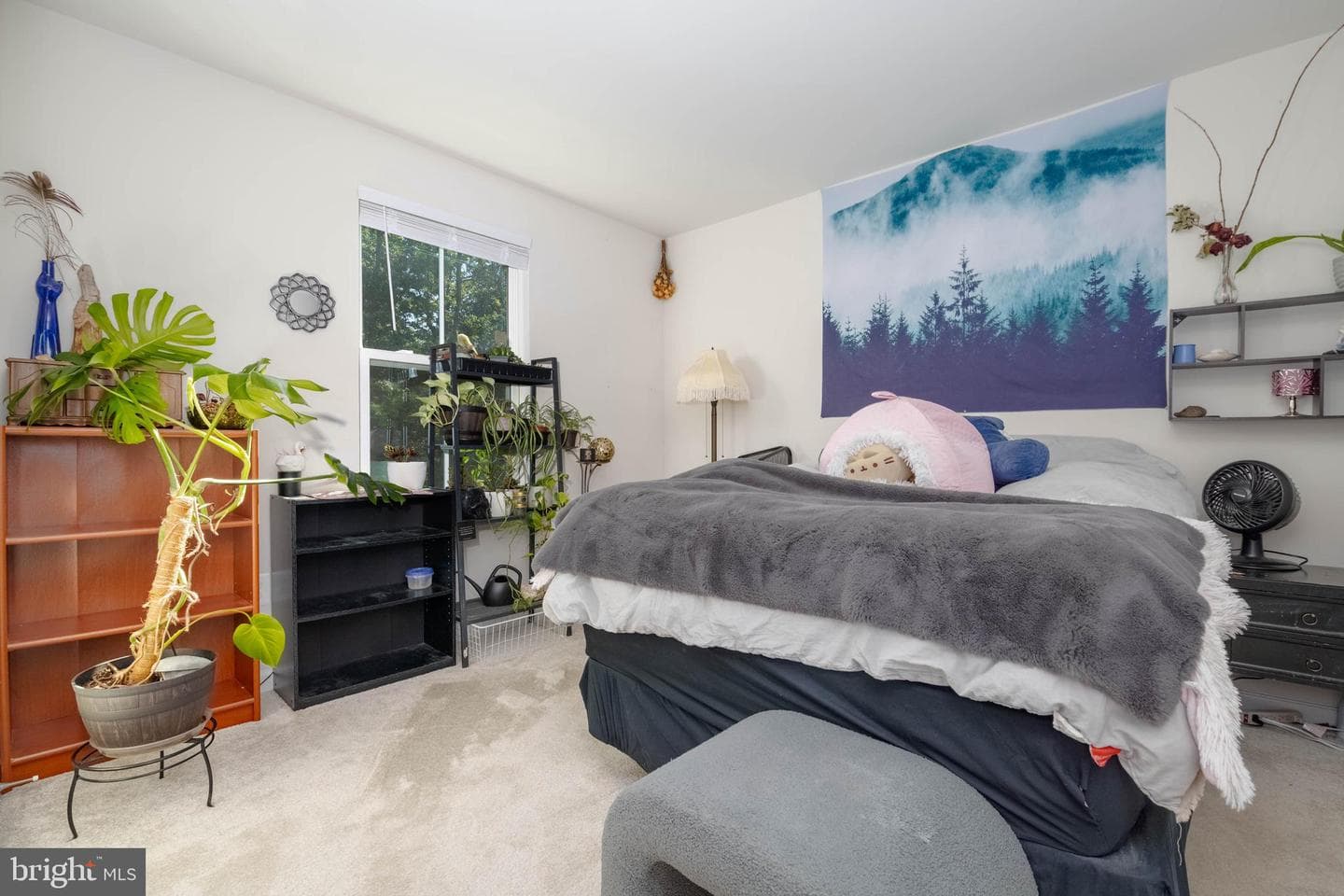 25 Teatree Lane photo 23