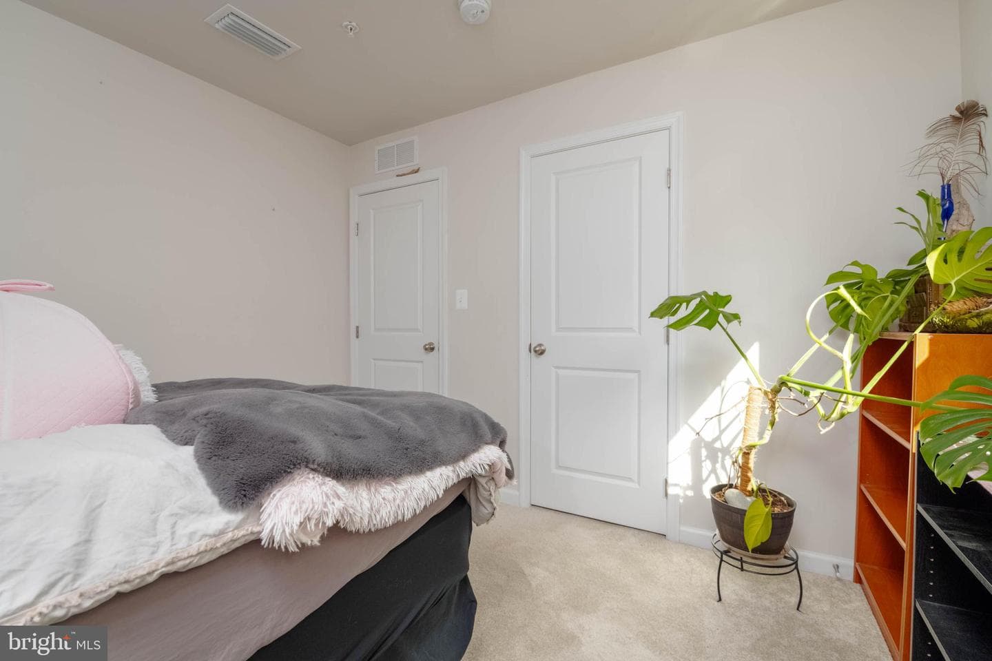25 Teatree Lane photo 24