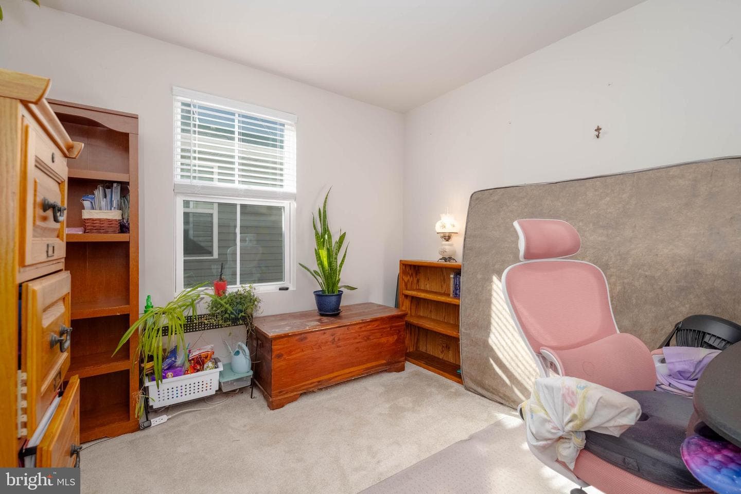 25 Teatree Lane photo 28