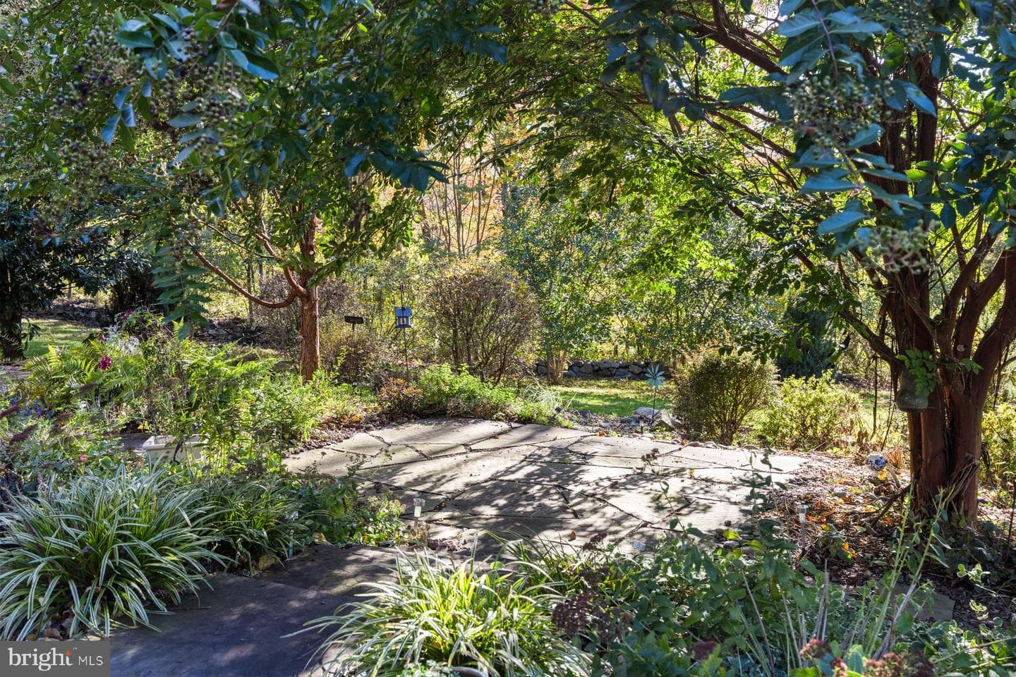 84 Clematis Way photo 38