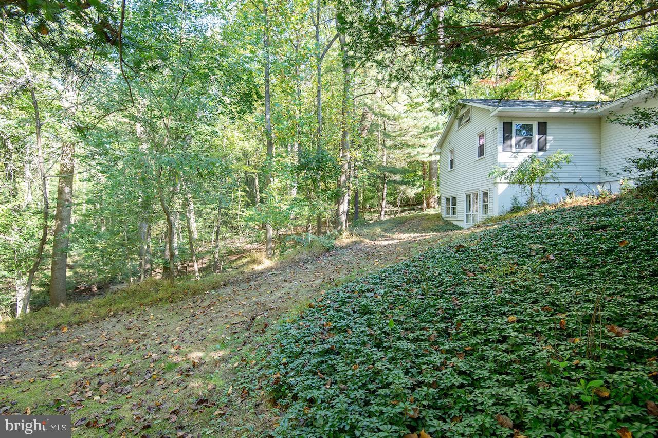 6 Gilmore Lane photo 16