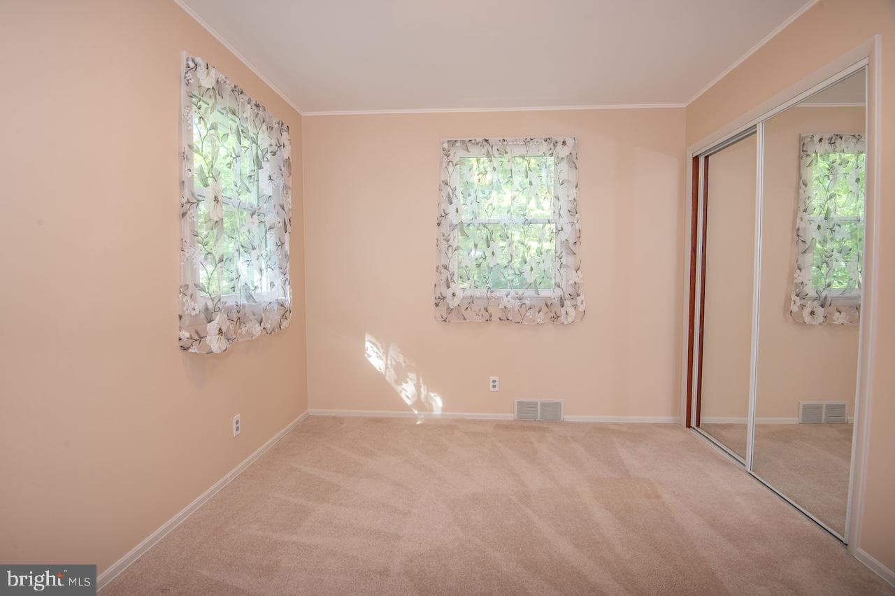 6 Gilmore Lane photo 39