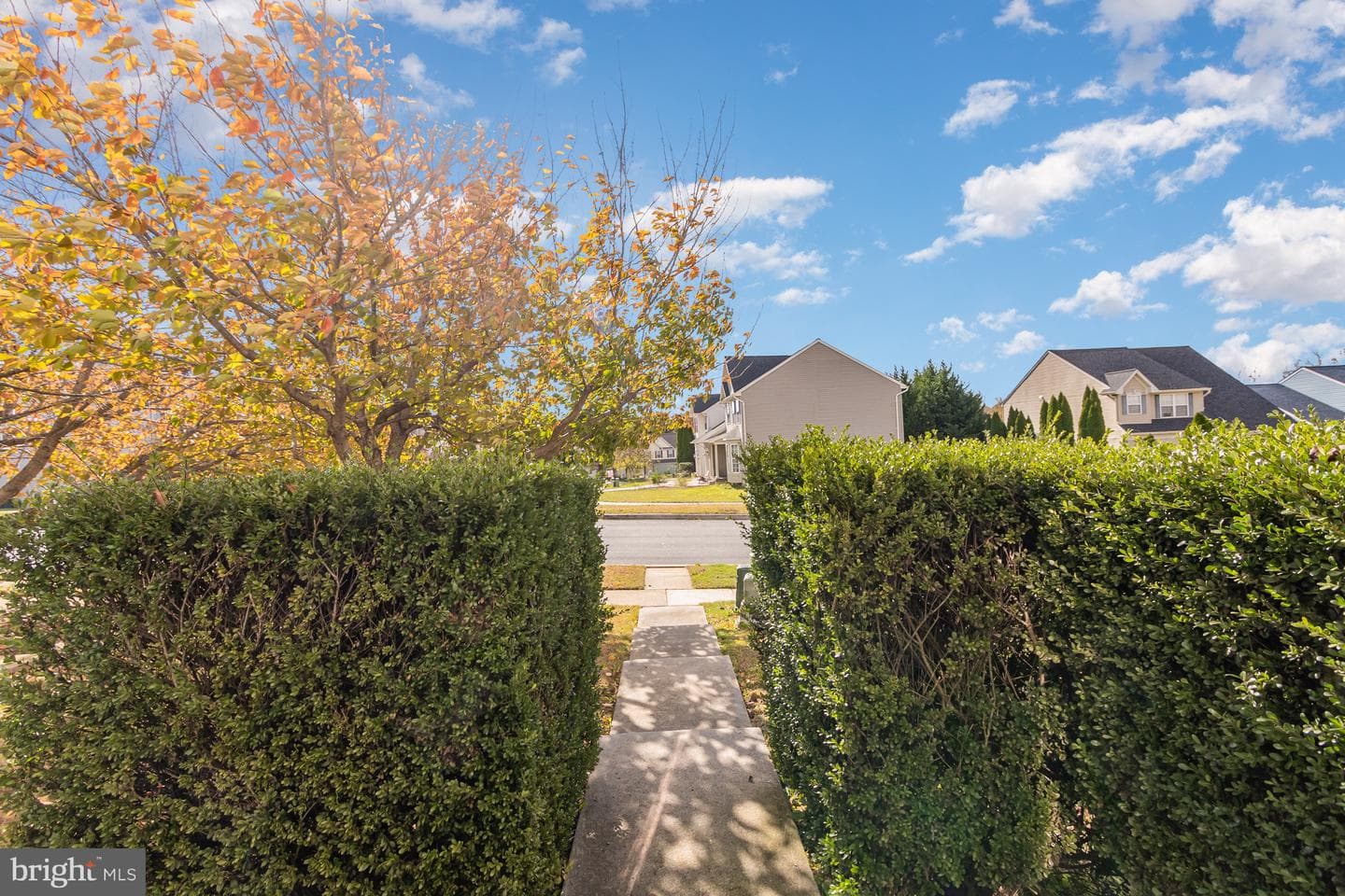 124 Maple Leaf Drive photo 12