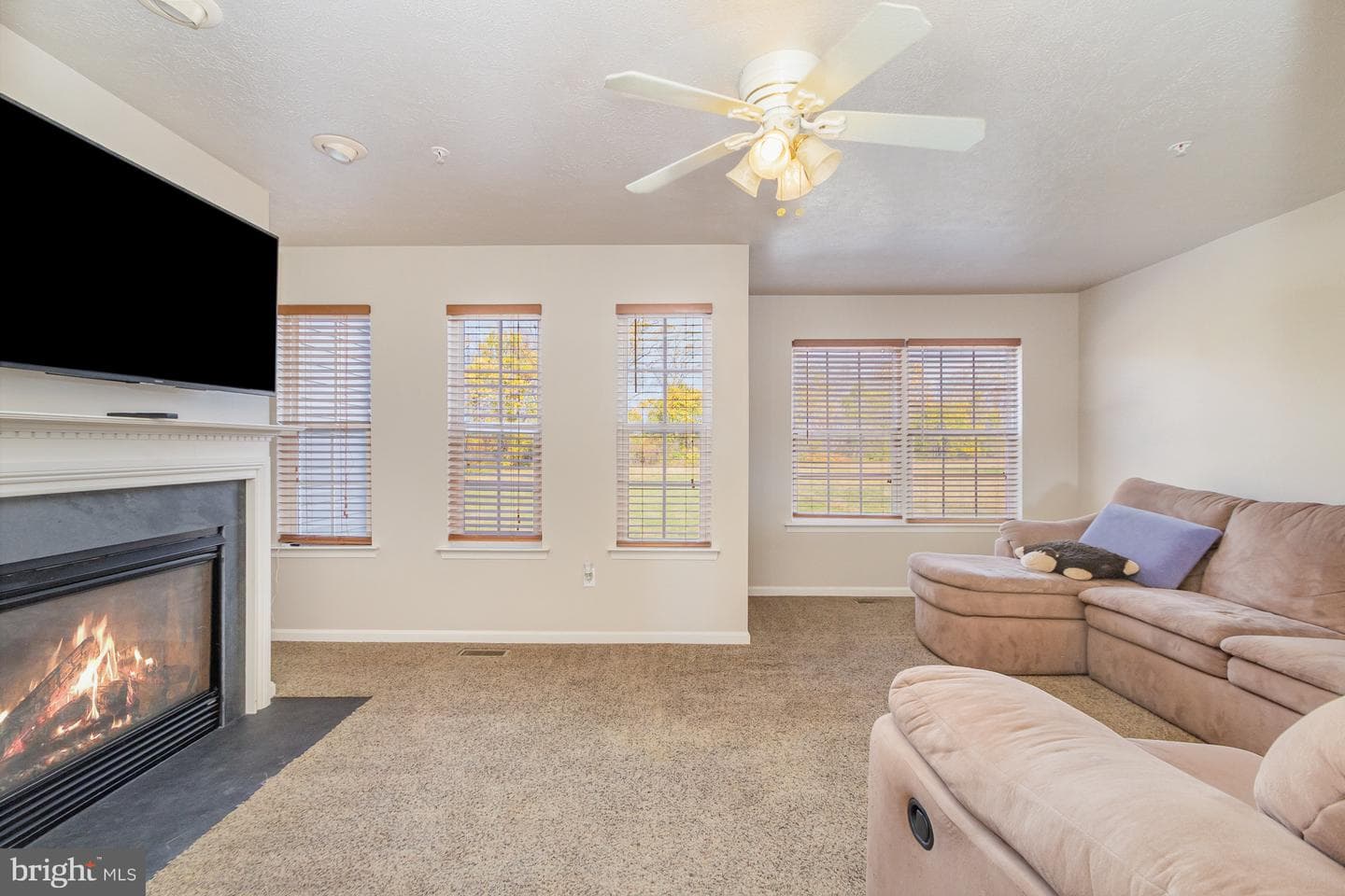 124 Maple Leaf Drive photo 18