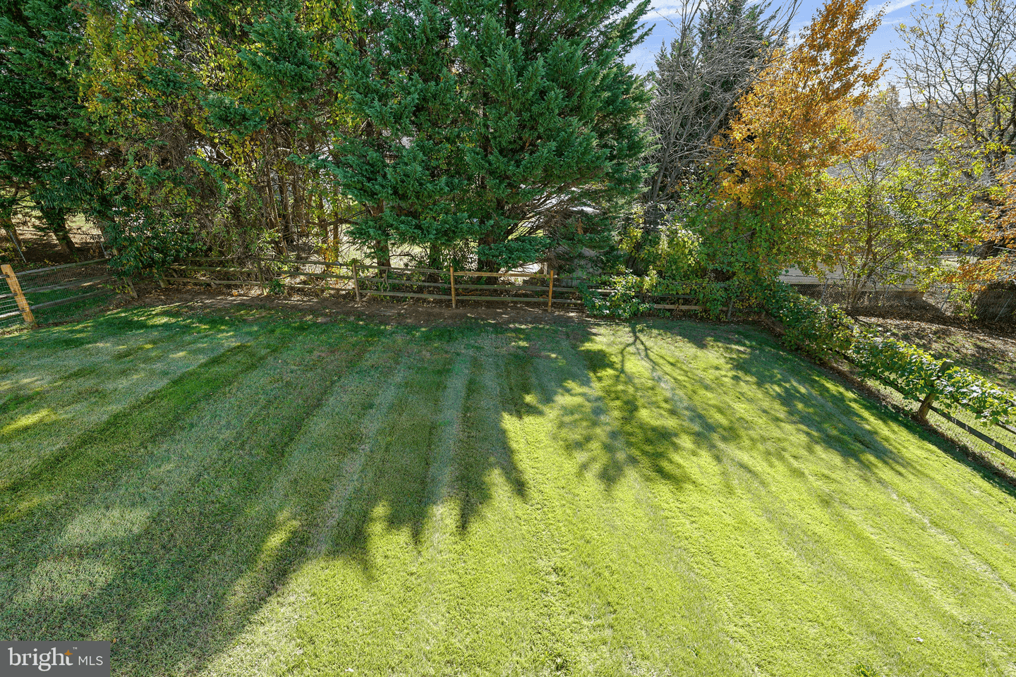 520 Saint Charles Street photo 24