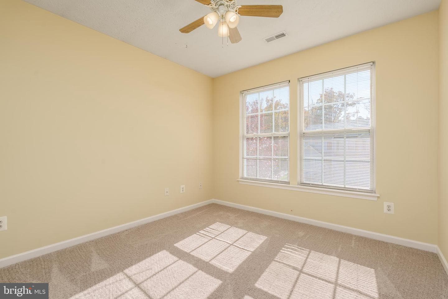 222 Thomas Jefferson Terrace photo 23