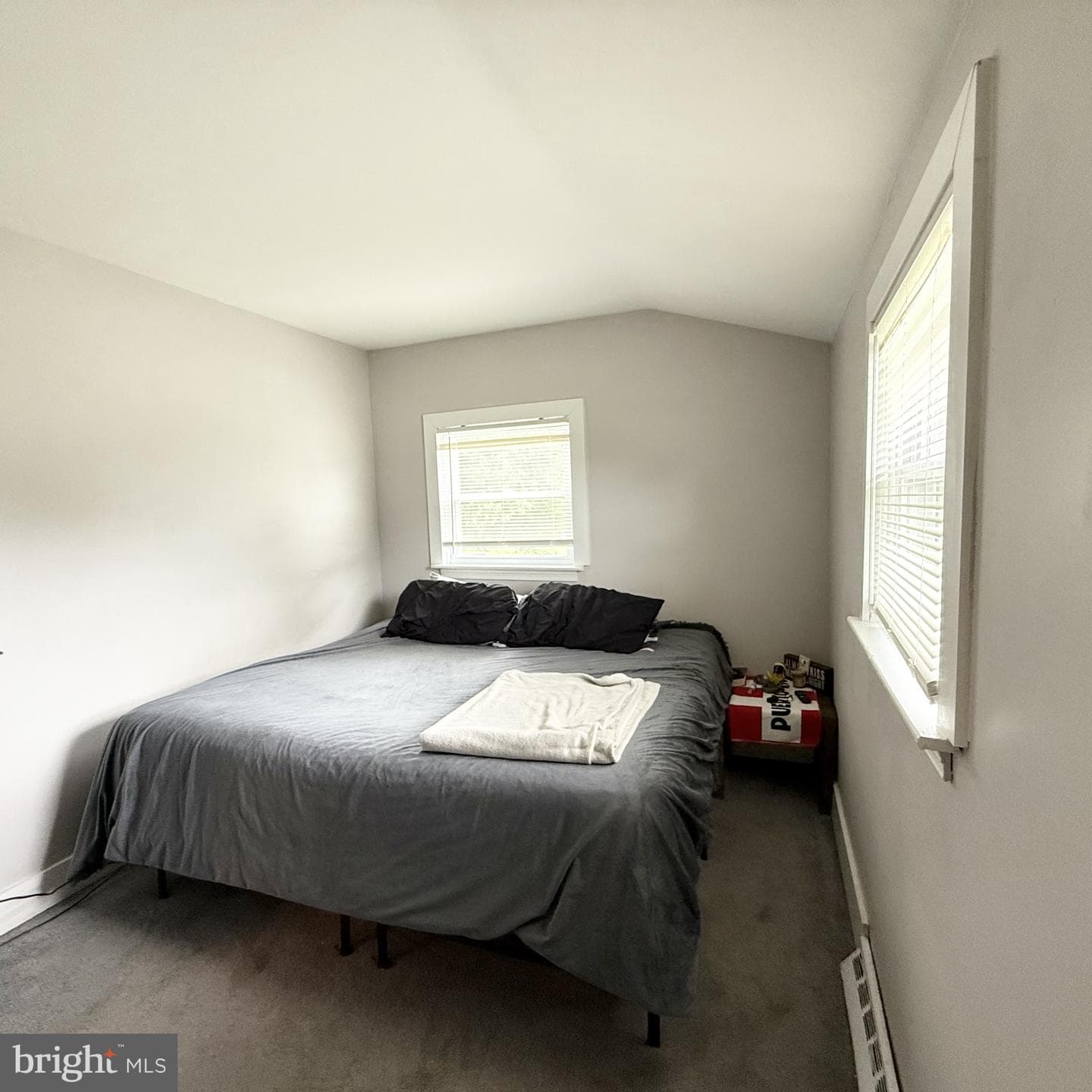 20 Chestnut Drive photo 30