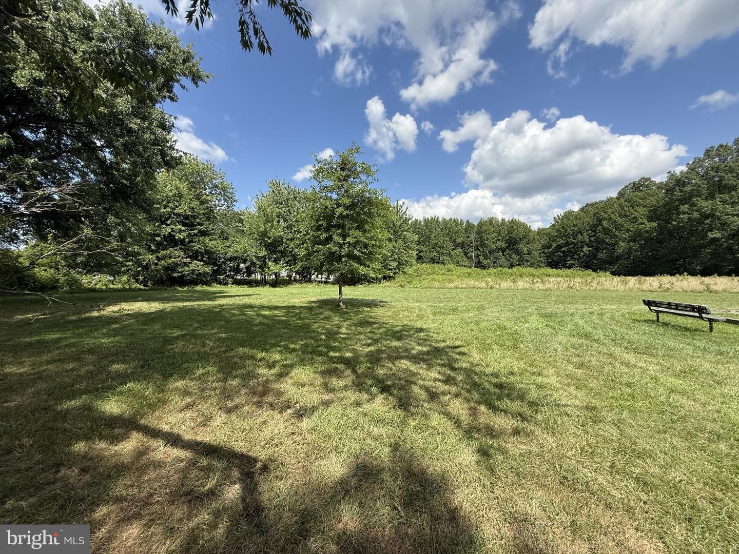 20 Chestnut Drive photo 61