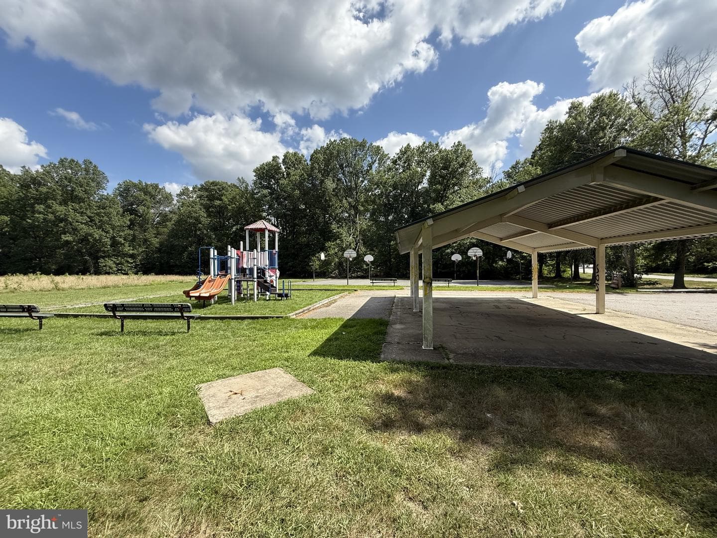 20 Chestnut Drive photo 63