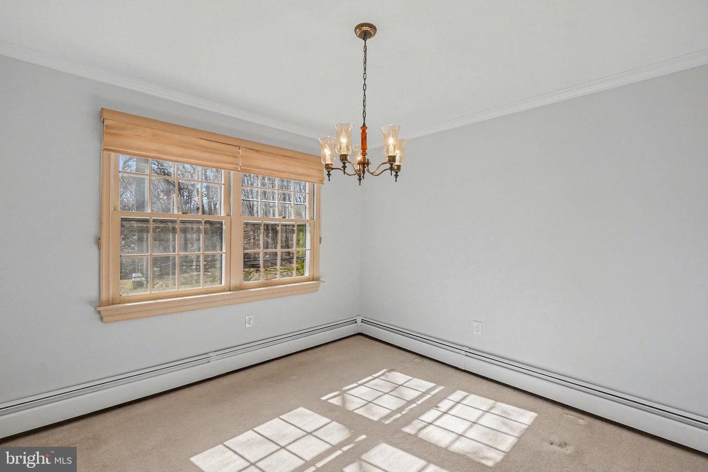 11 Colonial Circle photo 19