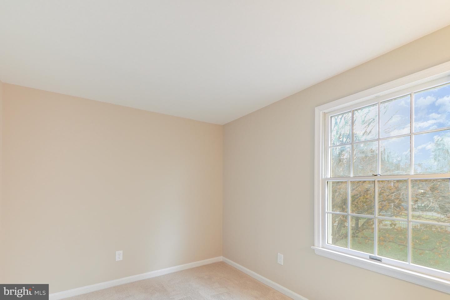 10 Hunt Valley Drive photo 29