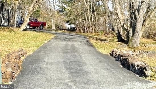 125 Brer Rabbit Road photo 2