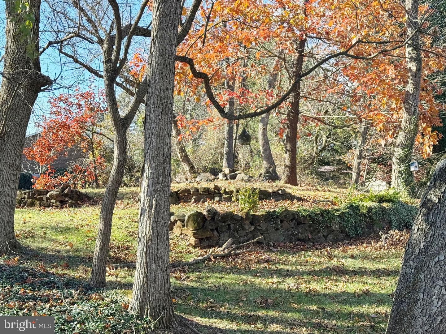 125 Brer Rabbit Road photo 38