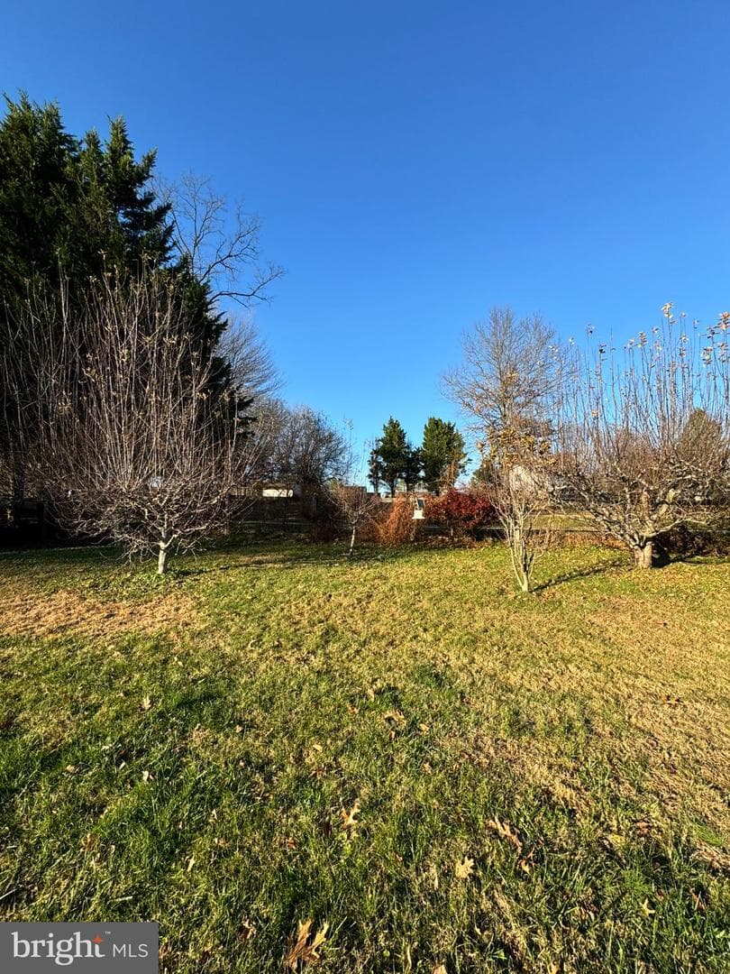 91 Mountain Road photo 5
