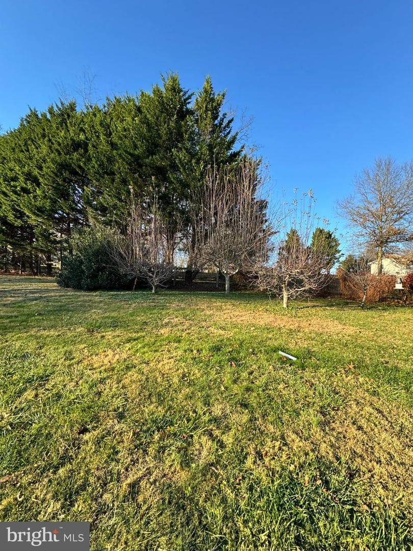 91 Mountain Road photo 7