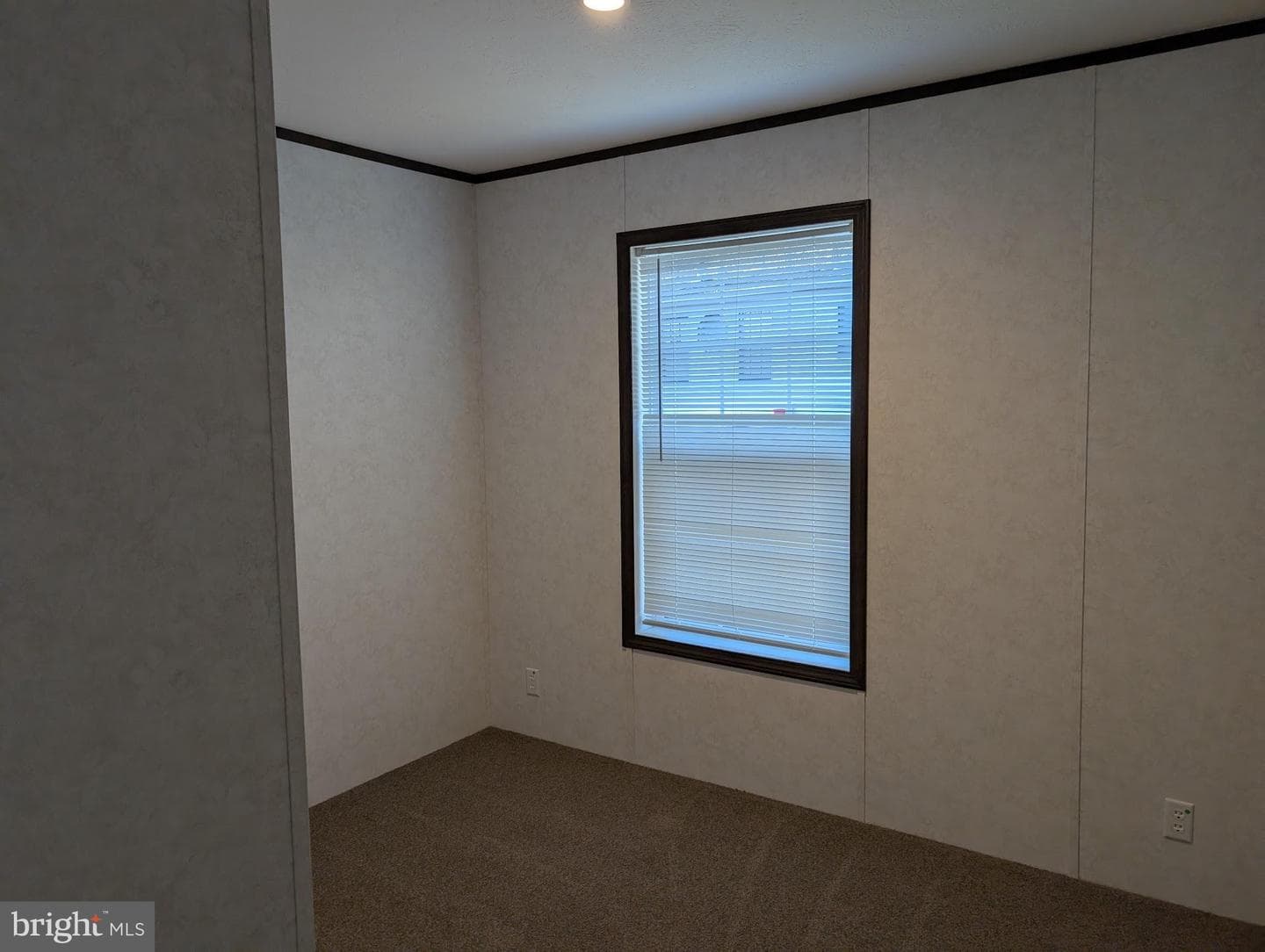 23 Stony Chase Drive photo 15