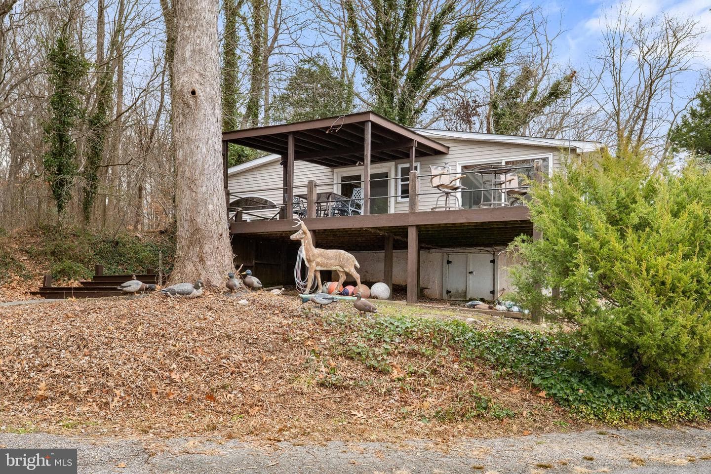 37 Cattail Lane photo 19