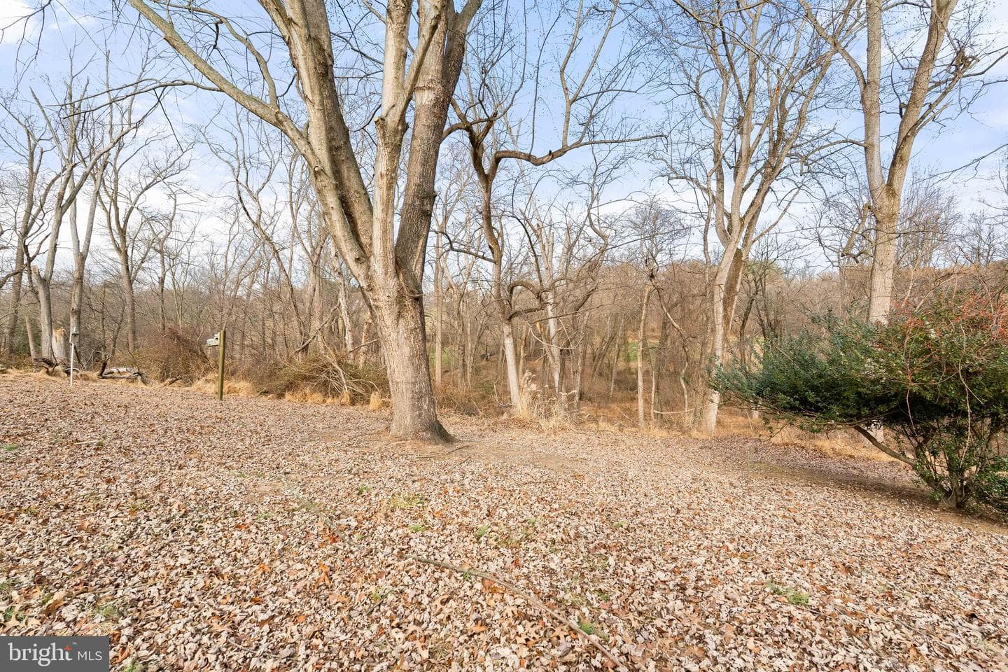 711 Little Egypt Road photo 10