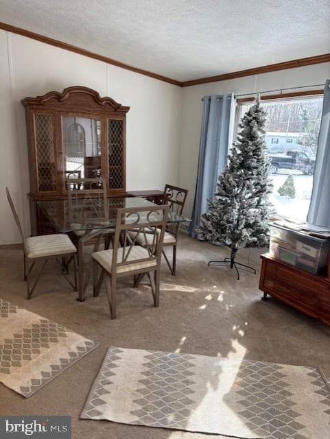 1 Wildwood Ln photo 8