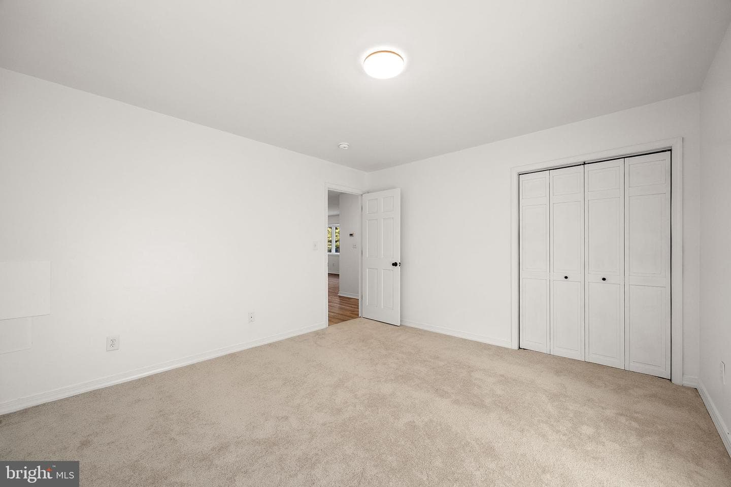 236 Doctor Jack Road photo 19
