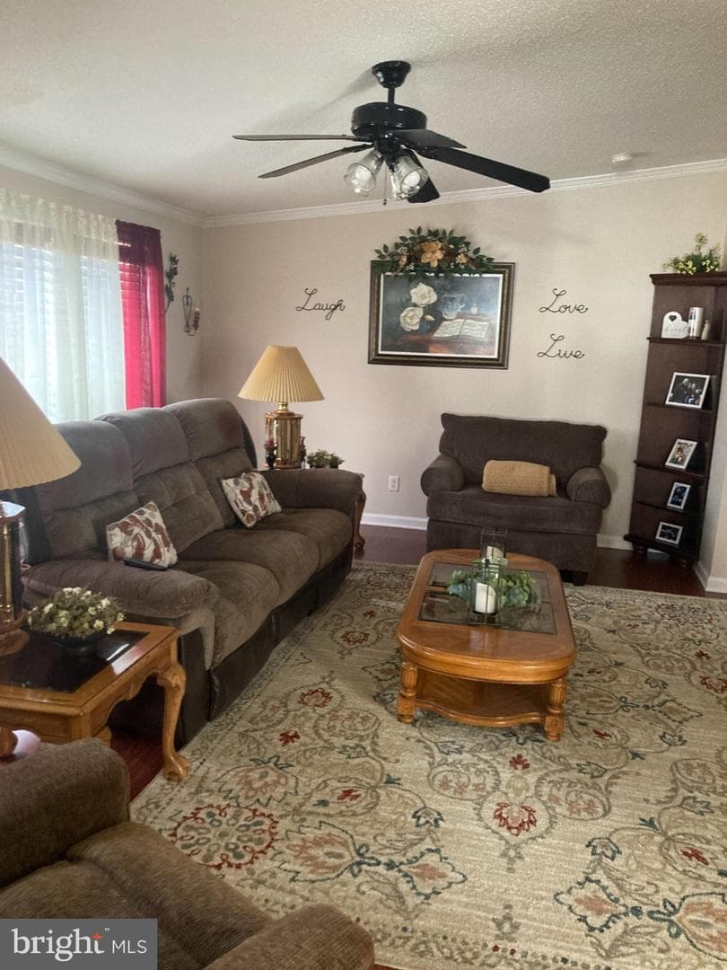 39 Queen Eleanor Drive photo 4