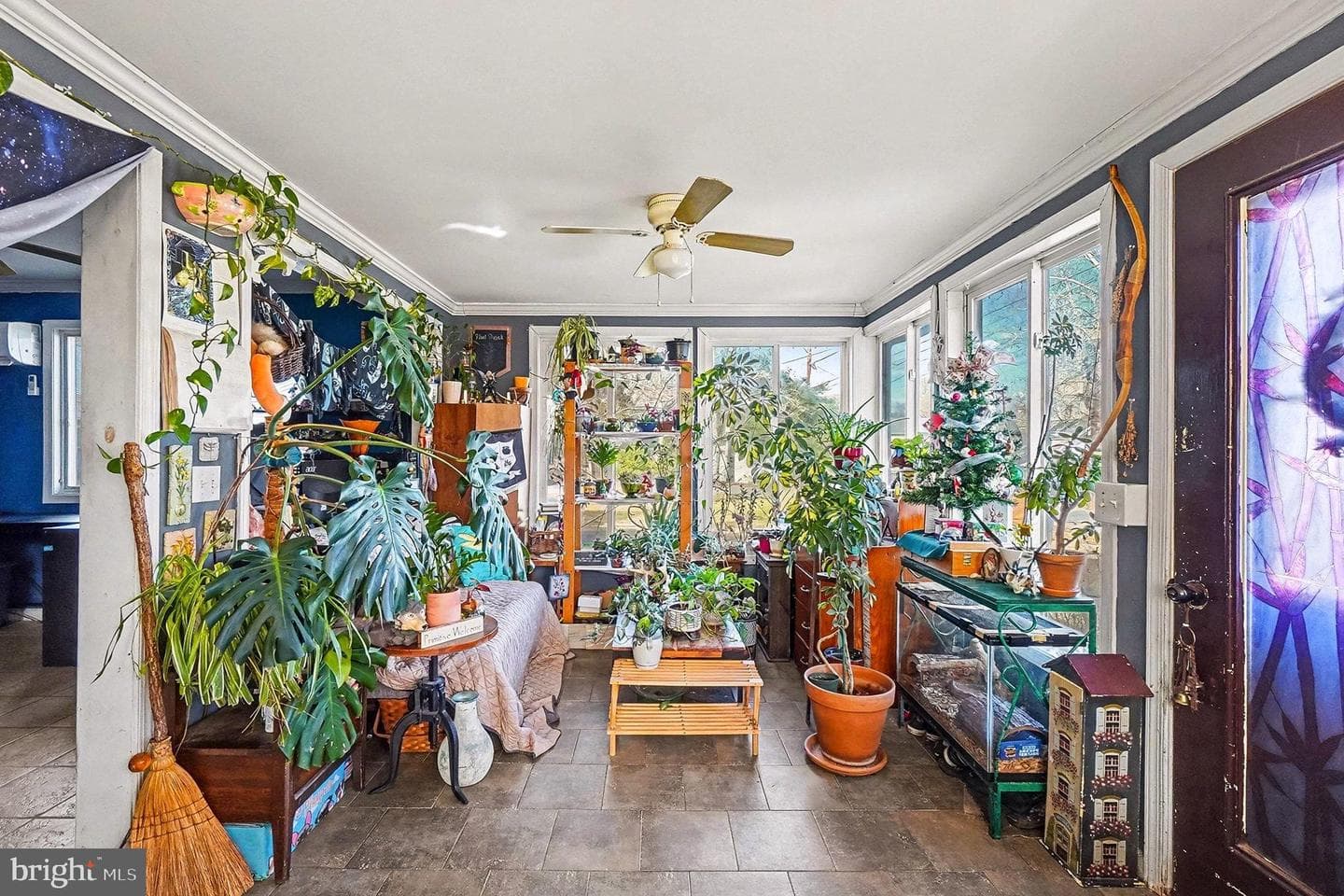 8 Cherry Lane photo 42