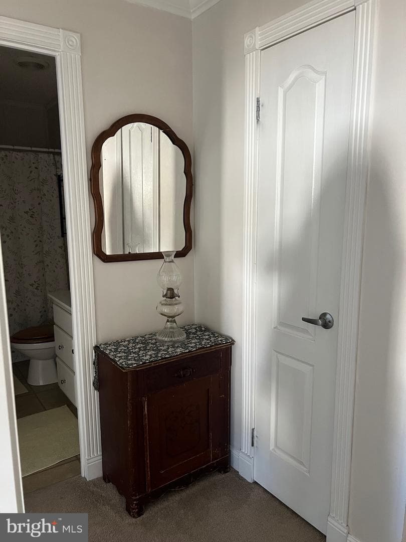 42 Queen Eleanor Drive photo 10