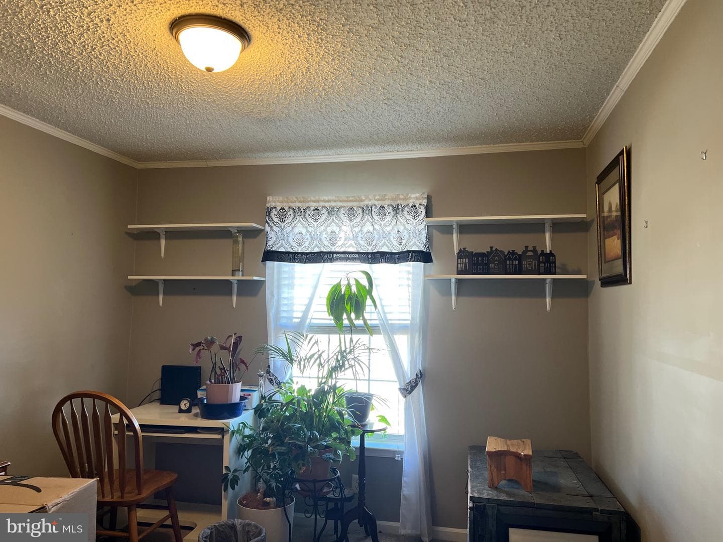 42 Queen Eleanor Drive photo 24