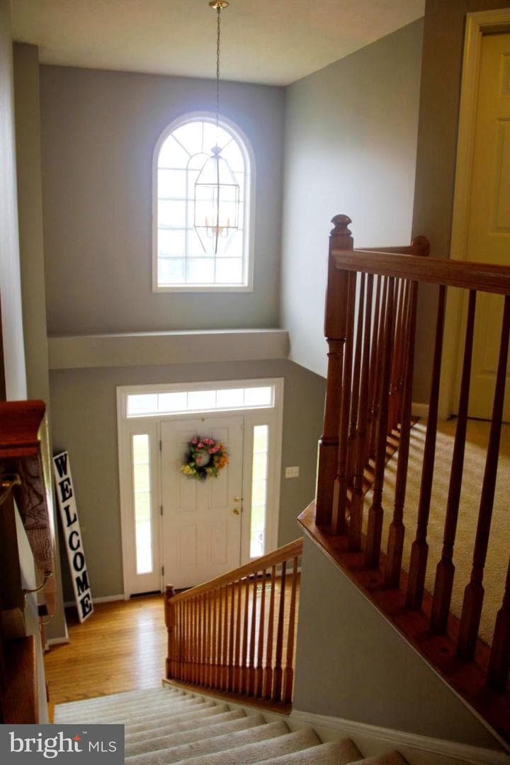 77 Ironoak Court photo 24