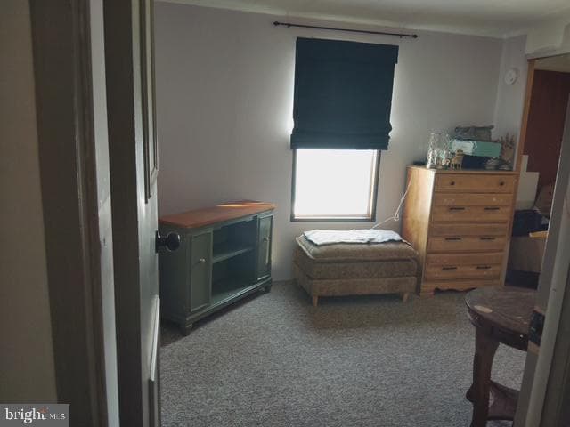 8 Mason Dixon Court photo 15