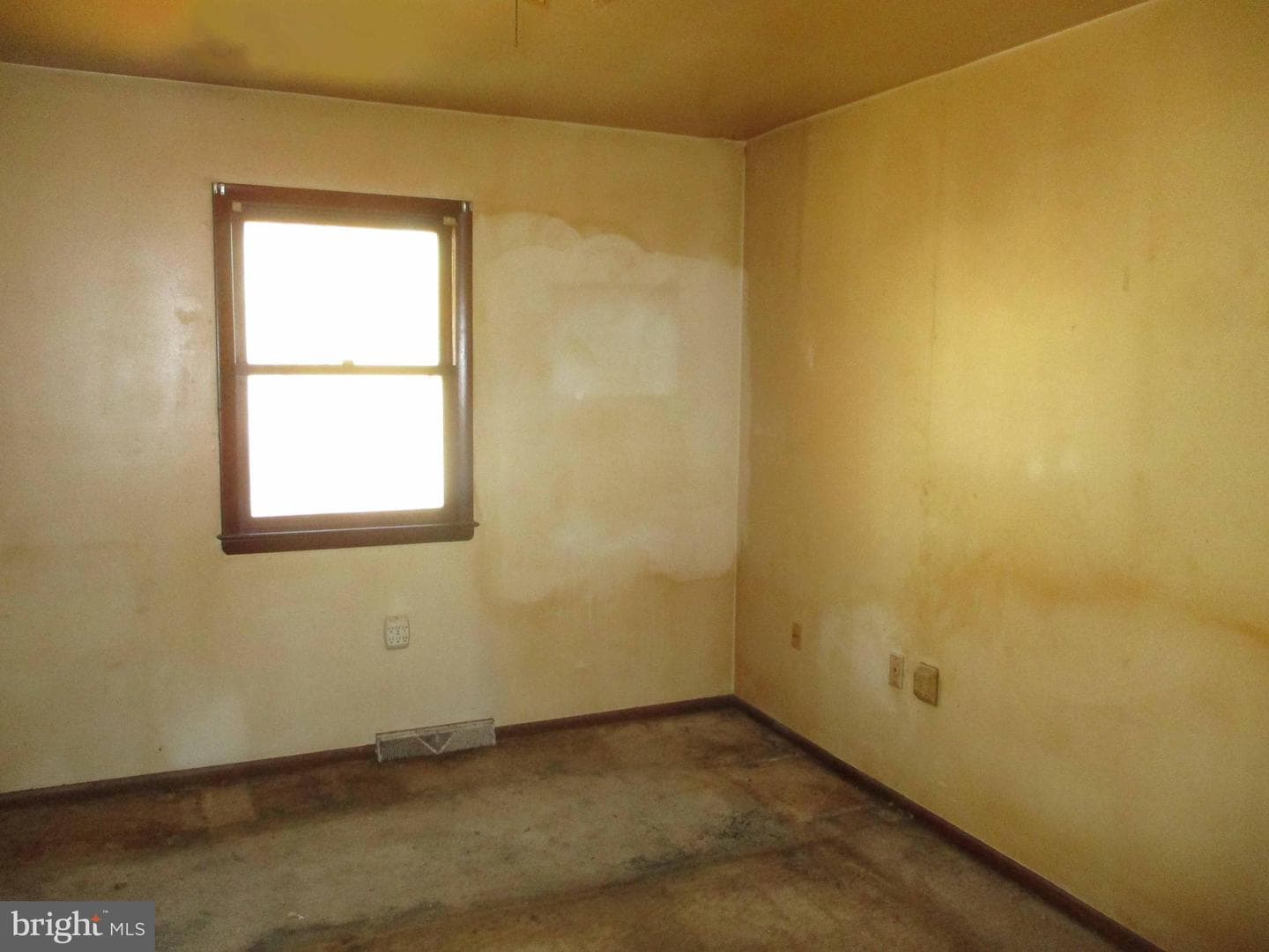 211 Greenwood Street photo 4