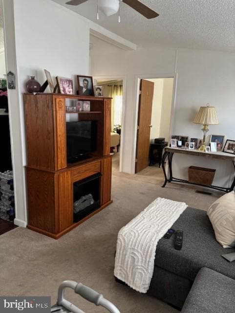 17 E Circle Dr photo 7