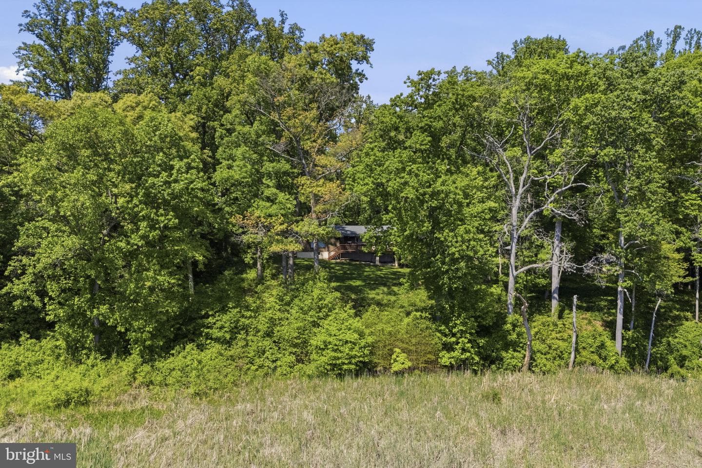 137 Plum Point Road photo 34