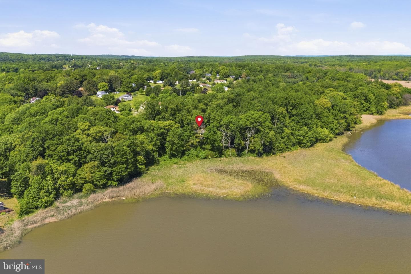 137 Plum Point Road photo 48