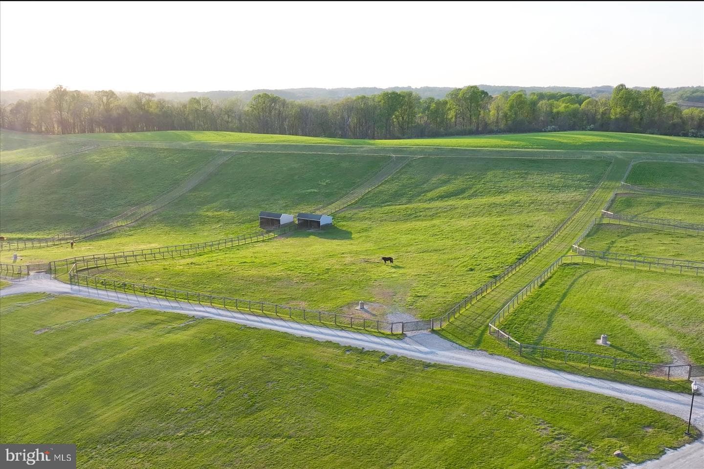 1089 Nesbitt Road photo 79