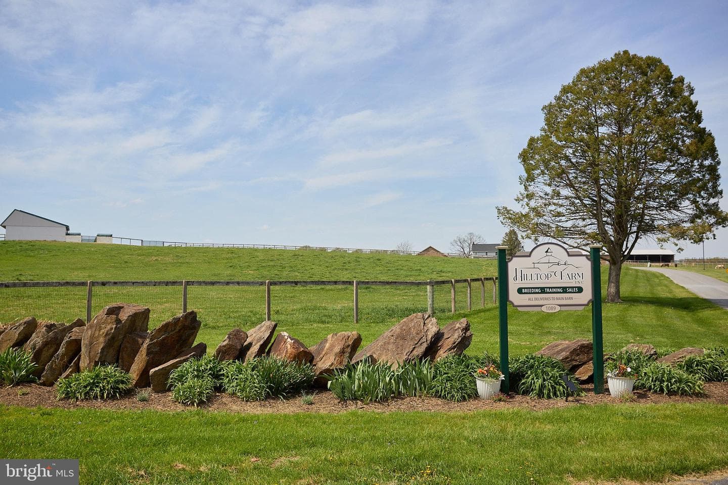1089 Nesbitt Road photo 84