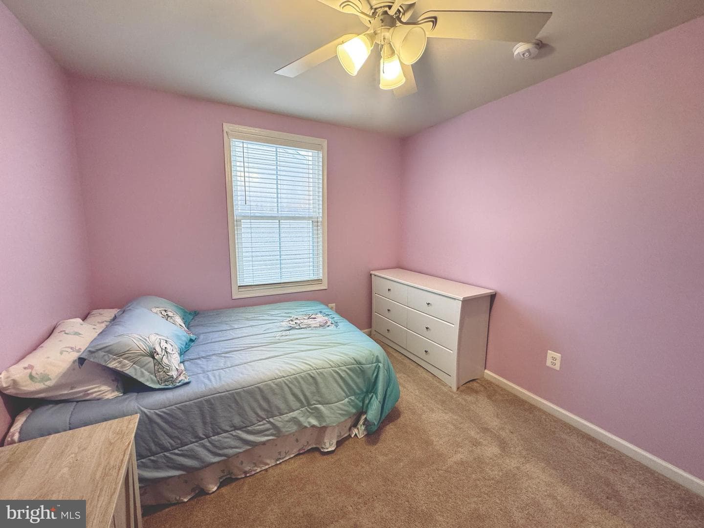 41 Tilia Drive photo 22