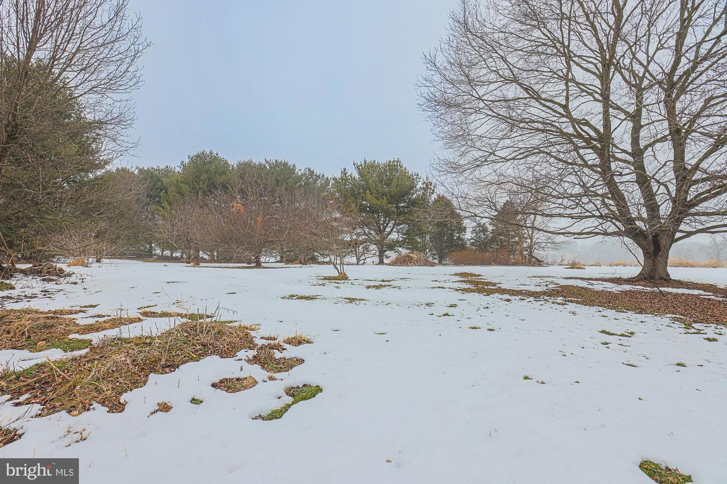 31 Blake Road photo 46