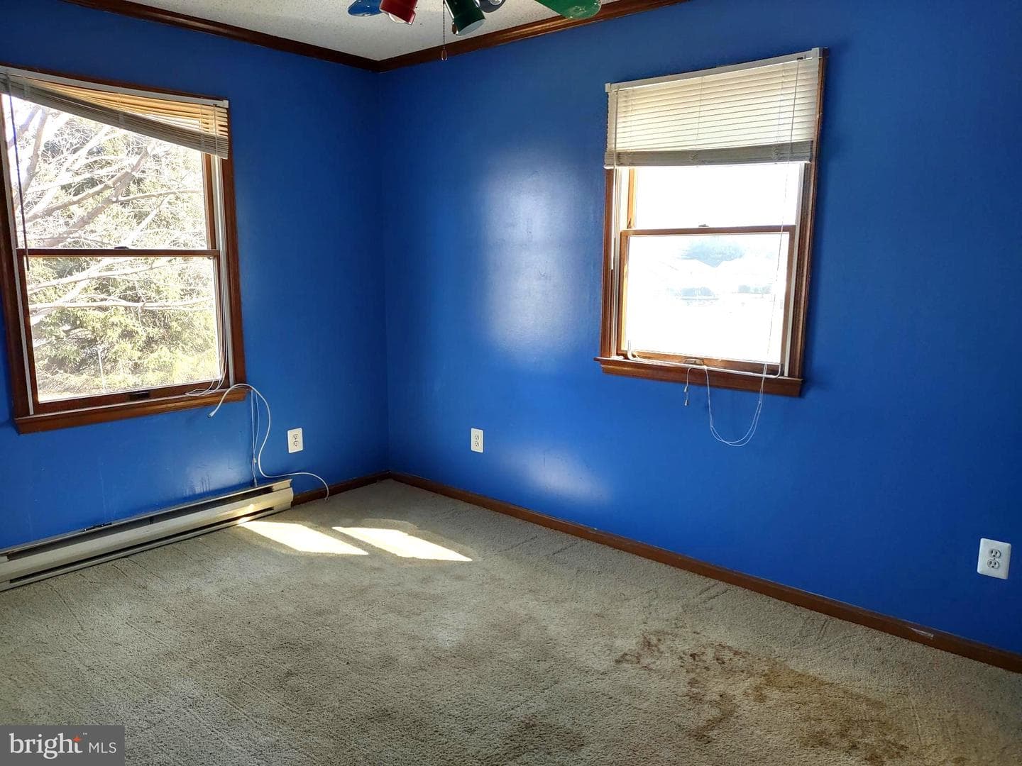 66 Ayers Drive photo 29