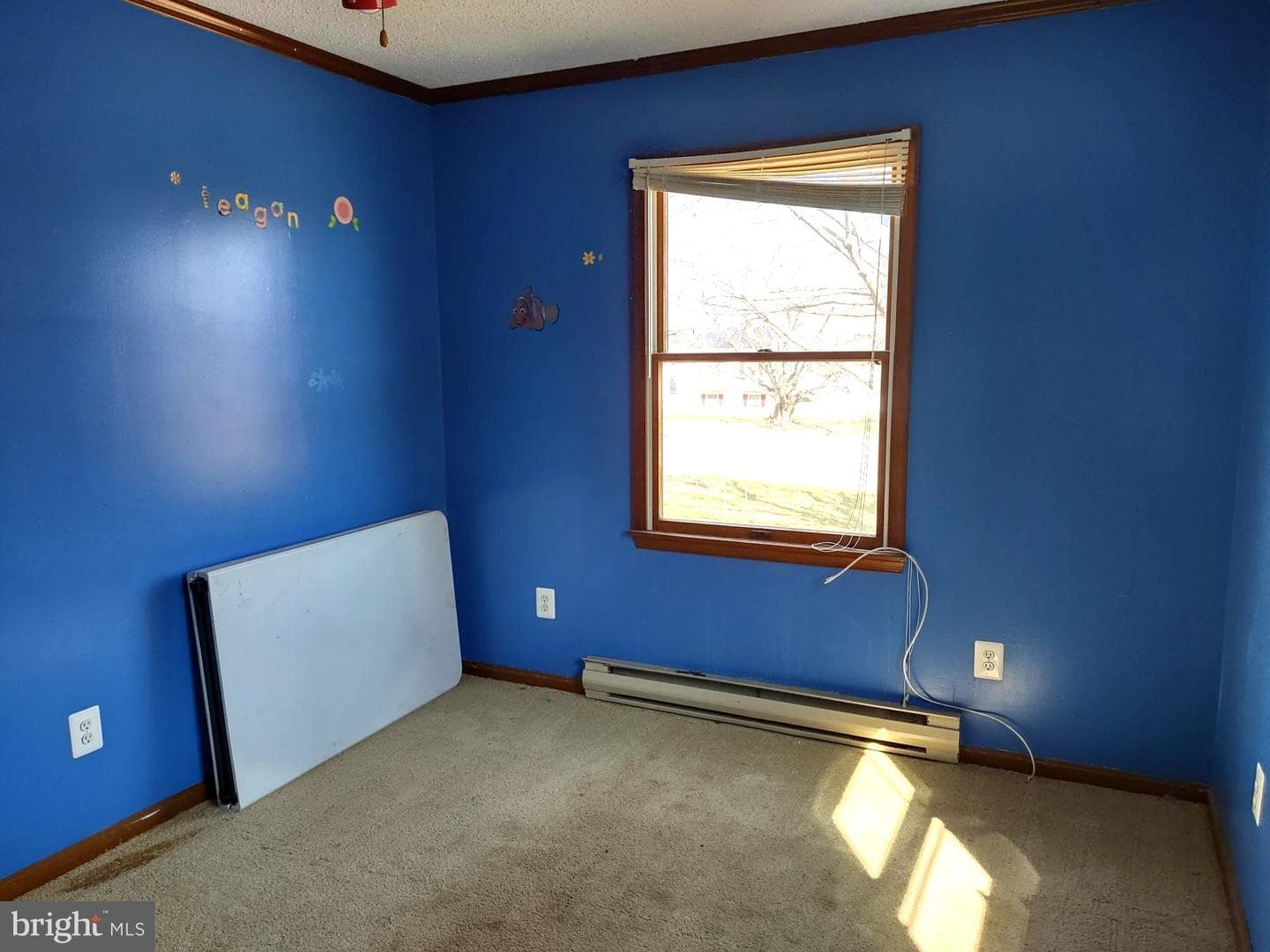 66 Ayers Drive photo 30
