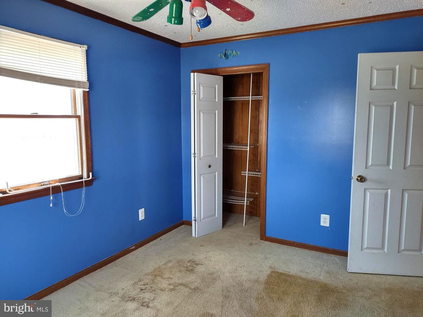 66 Ayers Drive photo 31