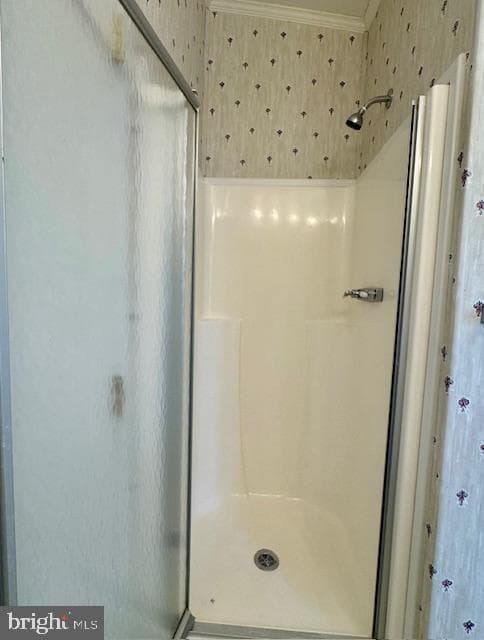 167 Woods Way photo 17