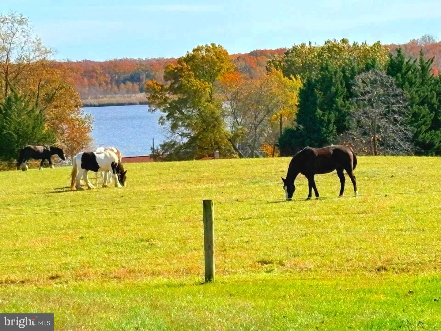 137 Elk Ranch Park Road photo 40
